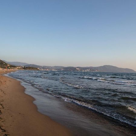 Fuori Le Mura Panzió Paestum Kültér fotó