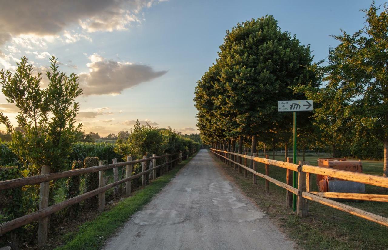 Fuori Le Mura Panzió Paestum Kültér fotó