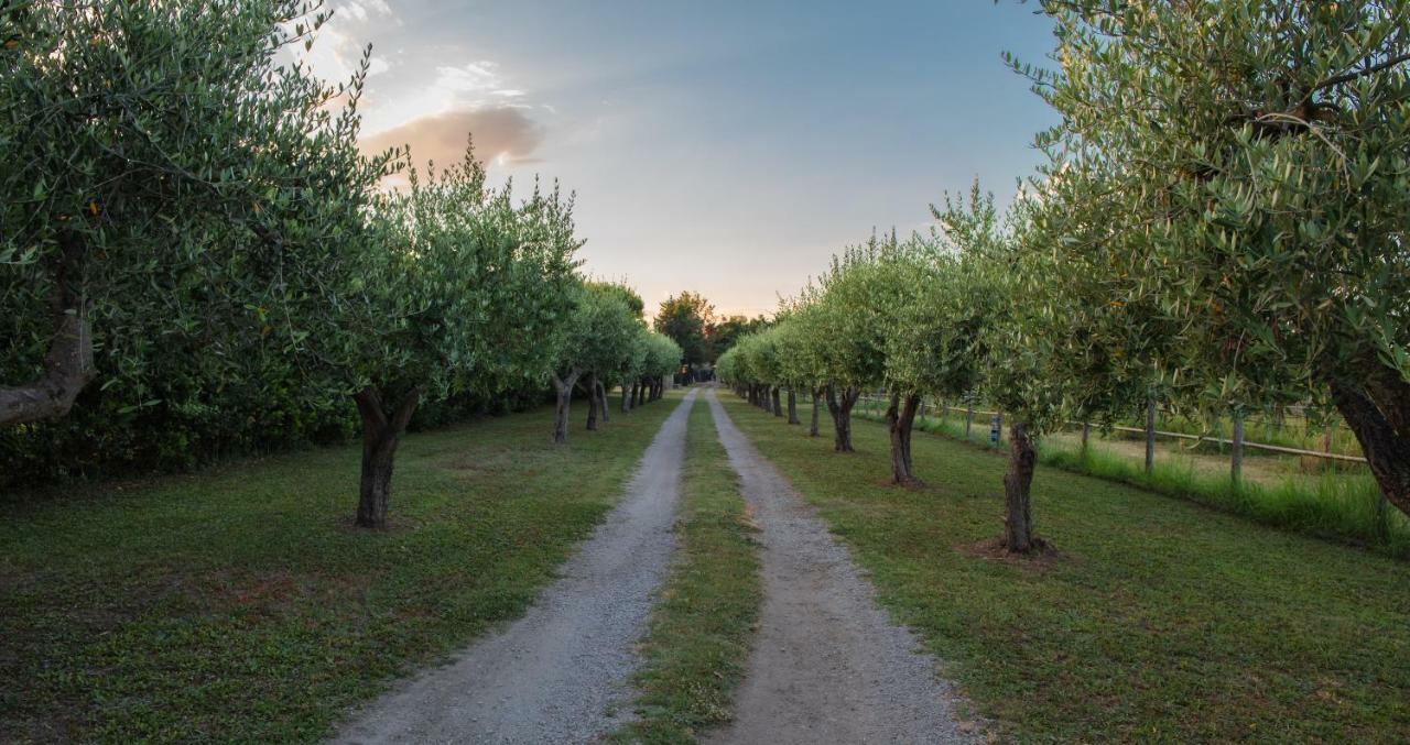 Fuori Le Mura Panzió Paestum Kültér fotó