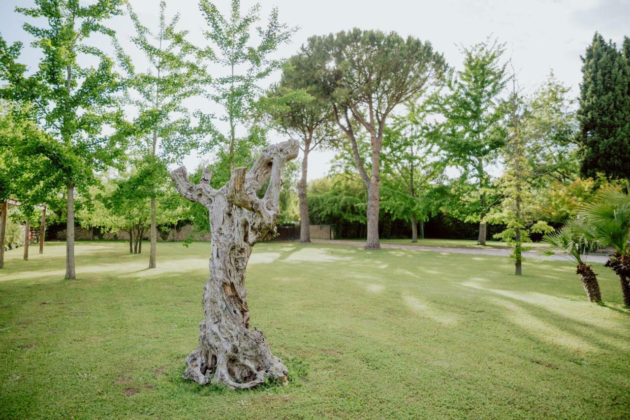 Fuori Le Mura Panzió Paestum Kültér fotó